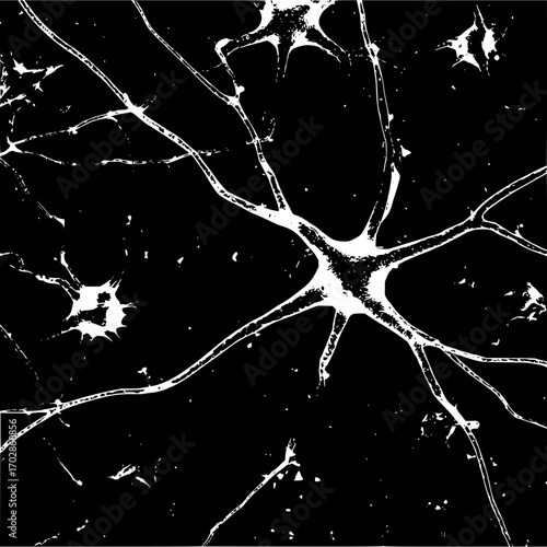 Neuron cell biology diagram illustration of nerve cells and brain cells with axons and dendrites image