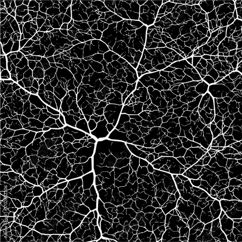 Abstract white veins network on black background neural network pattern vein structure organic texture design