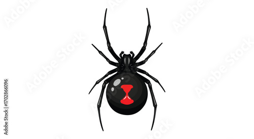Isolated black widow spider illustration showcasing distinctive red hourglass marking and sleek design for arachnid enthusiasts arachnophobia