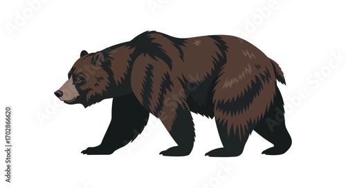 Illustration of a Brown Bear Walking on a White Background showcasing wildlife mammal animalistic forest creature isolated vector art animal nature