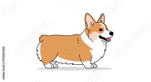 Animated corgi dog illustration showcasing playful and friendly attributes in a minimalist style with bright colors