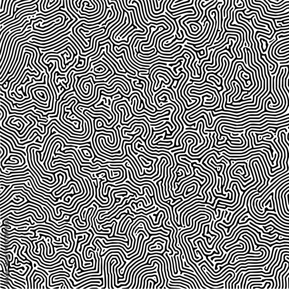 Obraz premium Abstract black and white pattern background with organic lines and shapes flowing seamlessly design art drawing