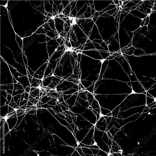 Neuron network connections neural pathways brain cells nervous system interconnectivity complex system white on black