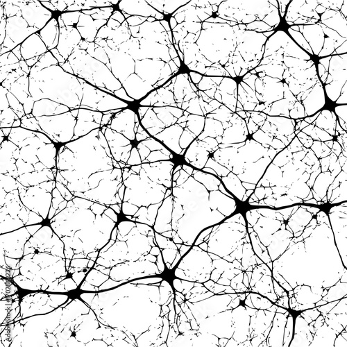 Neuron network neural connections brain cells nervous system dendrites axons biology science abstract pattern design