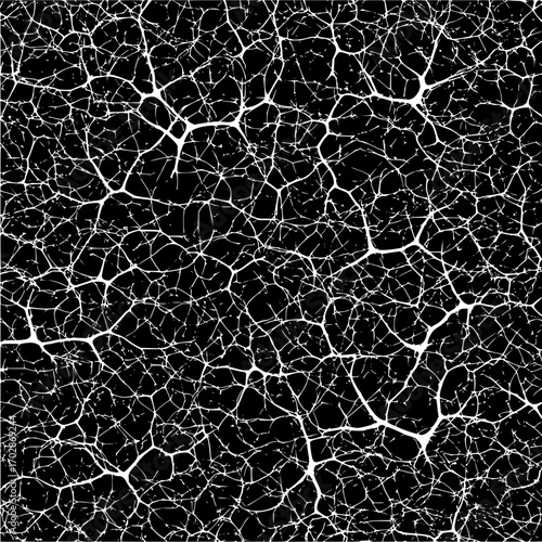 Abstract network pattern texture background white lines on black veins structure connectivity design element art