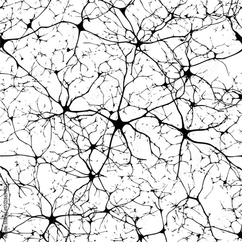 Neuron network neural connections brain cells nervous system dendrites axons science biology medical research art