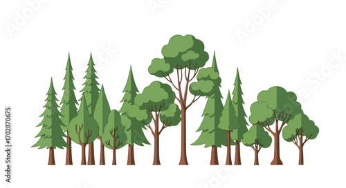 Stylized Diverse Forest Illustration with Evergreen and Deciduous Trees in Flat Design isolated over white background