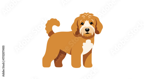 Cartoon-style goldendoodle illustration featuring a fluffy and playful cartoon vector dog design for diverse creative projects