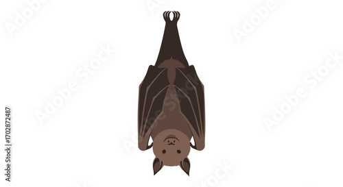 Illustration of a Bat Hanging Upside Down with Wings Spread in Brown Tones against a White Backdrop