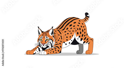 Playful lynx stretching cartoon illustration in orange and black tones against a white background, showcasing a wild feline in a dynamic pose