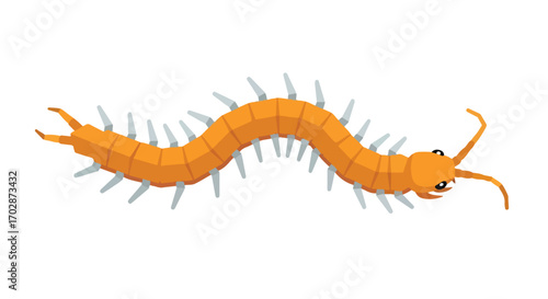 Stylized Centipede Illustration on White Background Depicting a Cartoon Insect with Many Legs and a Simple Composition Style