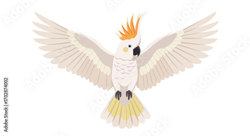 Majestic cockatoo illustration with outstretched wings showing plumage details with orange crest and poised in graceful flight against clean backdrop
