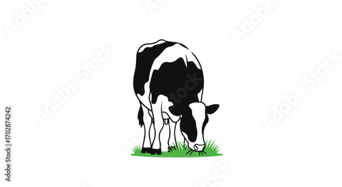 A dairy cow grazes on fresh green grass in a pasture showcasing animal husbandry and agriculture, vector illustration design on isolated white
