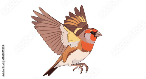 Vibrant songbird illustration in mid-flight depicting a cheerful feathered animal in action graceful spread wings against a clear white background