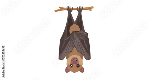 Illustration of a bat hanging upside down from a tree branch against a plain white background showcasing wildlife nocturnal adaptation nature animal