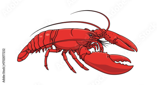 Cartoon depiction of a lobster, showcasing its vibrant red exoskeleton and prominent claws on a plain white background suitable for educational use