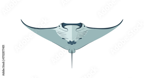 Stylized manta ray illustration with graceful wings on a clean white background offering simplicity, suitable for various illustrative needs