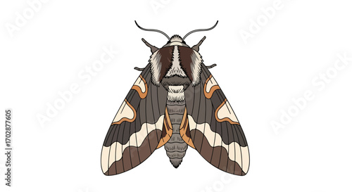 Detailed Illustration of a Moth with Intricate Wing Patterns and Delicate Antennae Displayed on a Pure White Background