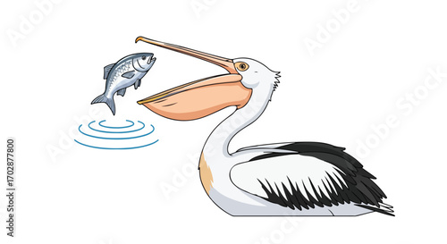Cartoon illustration featuring a pelican catching a fish in a charming and whimsical style perfect for children's illustrations or educational
