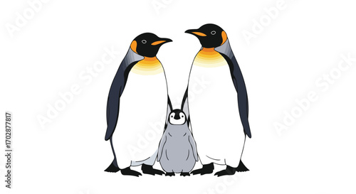 Elegant king penguin family portrait on white backdrop showcases avian beauty and natural connection in a simple vector illustration
