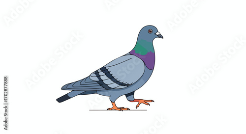 Cartoon pigeon illustration with blue, purple, and green colors, isolated against a plain white background showing a bird gracefully stepping forward