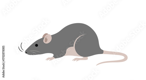 Stylized Illustration of a Gray Rat with Pink Accents Against a Plain White Backdrop Depicting a Rodent With Delicate Features