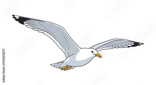 Seagull soars gracefully across the horizon depicted in vibrant vector style, a captivating scene of avian elegance and freedom
