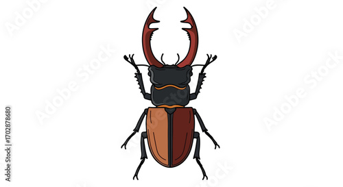 Illustration of a Stag Beetle with Large Mandibles and Detailed Wing Cases on a White Background