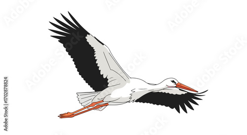 Elegant stork in soaring flight capturing the essence of freedom and graceful movement conveying natural beauty and avian dynamism across a serene