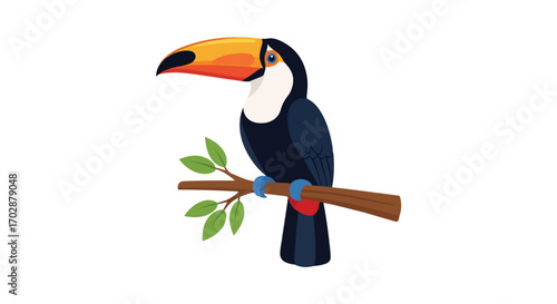 Stylized toucan perched elegantly on a branch illustration with vibrant color palettes and clean vector lines depicting avian beauty