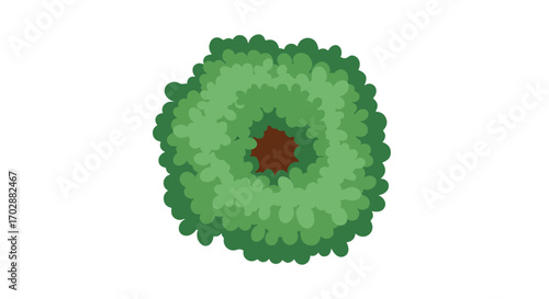 Overhead schematic representation of a meticulously manicured tree foliage showcasing diverse shades of green in a harmonious, top down aerial