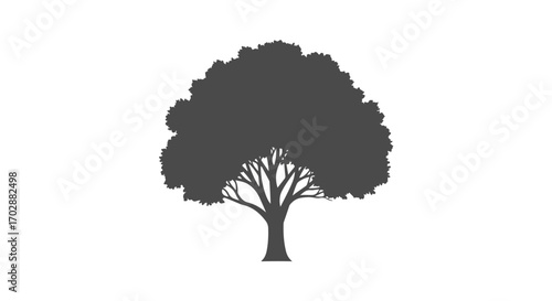 Monochrome arboreal silhouette displaying detailed branching structure against a bright blank canvas highlighting natural forms