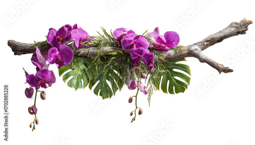 Purple orchids and tropical leaves arranged on a branch