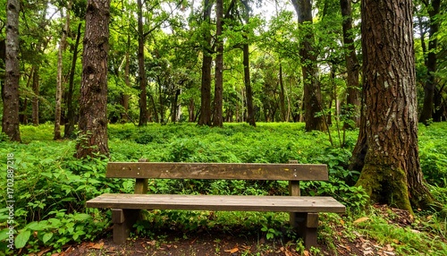Wallpaper Mural Wooden park bench in a lush forest (1) Torontodigital.ca