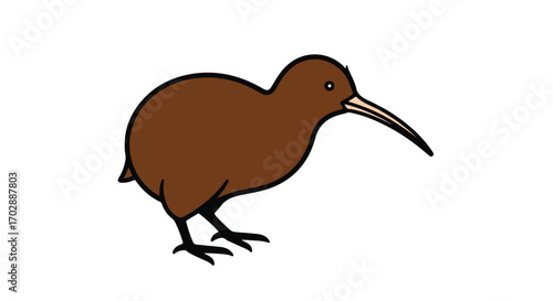 Delightful Kiwi Bird Illustration: A Cartoon Style Drawing Showcasing Nature's Charm and Simplified Beauty in a Clean Design