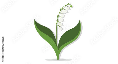 Elegant lily of the valley illustration displaying springtime freshness and naturalistic floral beauty with botanical precision and delicate