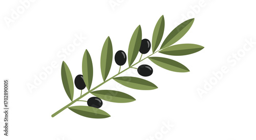 Stylized olive branch illustration with fresh green leaves and ripe black fruits on a plain background