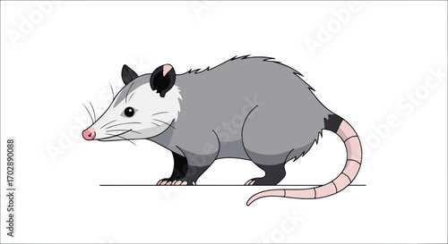 Cartoon Possum Illustration Standing, Gray Fur and Pink Nose with Distinctive Features on White Background