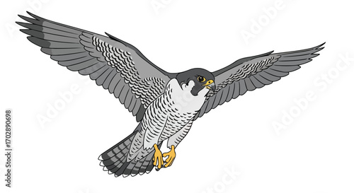 A falcon soars with expansive wings, captured in artistic style, showcasing freedom and power in nature as bird