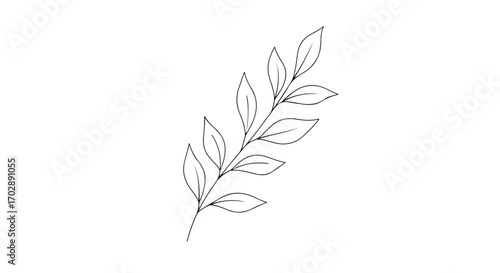 Elegant botanical illustration: a delicate leafy branch gracefully unfolding on a stark white canvas minimal and refined style