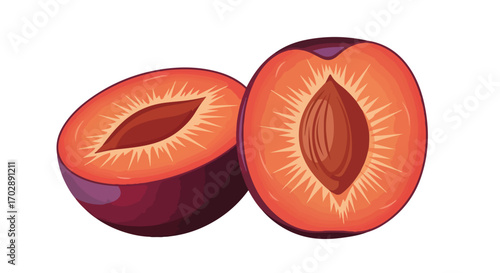Halved Damson Plum Illustration Showing Detailed Interior Structure Against Plain White Backdrop Isolated Illustration