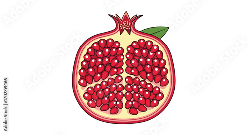 Colorful illustration showcasing the vibrant interior of a halved pomegranate fruit against a clean background
