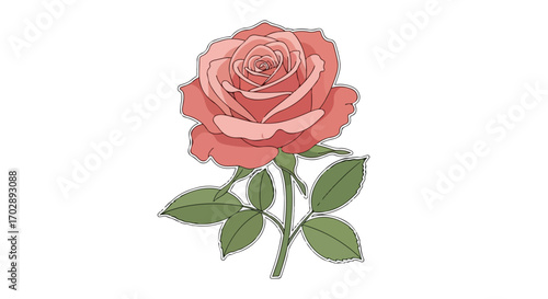 Elegant rose blossom illustration with detailed petals and stem,isolated against a clean white backdrop enhancing the flower's soft hues