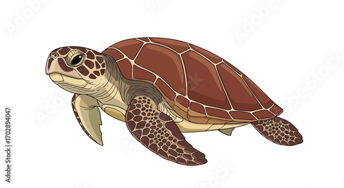 Detailed illustration of a young sea turtle with distinctive shell patterns and flippers designed in a realistic style highlighting marine life