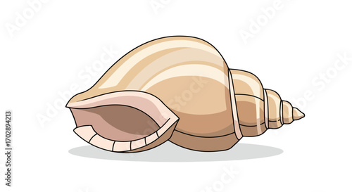 Realistic Illustration of a Beautiful Sea Shell with Textured Spiral and Natural Color Variations Highlighting Oceanic Ecosystems and Marine Life
