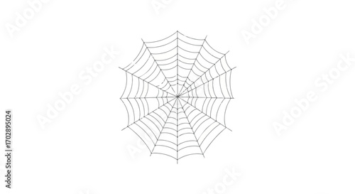 Intricate Hand-Drawn Spider Web Illustration Highlighting Fine Details and Symmetrical Pattern on a Clean White Background