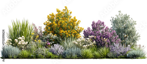 Colorful, layered garden bed with various shrubs and grasses