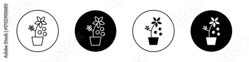 Berry shrubs and vines icons vector graphics collection on white background
