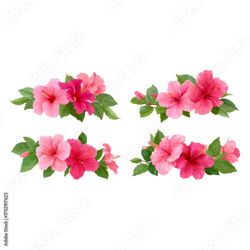 Four clusters of pink hibiscus flowers silhouette