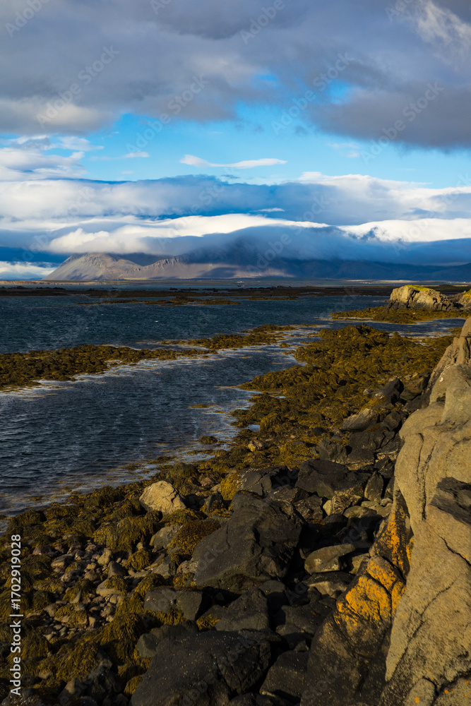 custom made wallpaper toronto digitalRocky Coastline with Ocean Waves and Mountains in Iceland